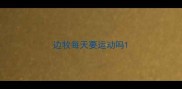 边牧每天要运动吗