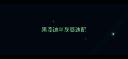 黑泰迪与灰泰迪配
