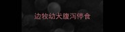 边牧幼犬腹泻停食