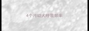 4个月幼犬呼吸频率