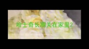 哈士奇长期关在家里