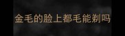 金毛的脸上都毛能剃吗