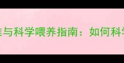 6个月拉布拉多体重标准与科学喂养指南如何科学管理幼犬体重健康