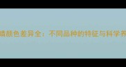 猫咪眼睛颜色差异全不同品种的特征与科学养护指南