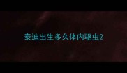 泰迪出生多久体内驱虫