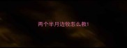 两个半月边牧怎么教