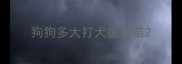 狗狗多大打犬瘟疫苗