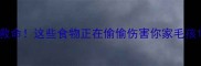 救命这些食物正在偷偷伤害你家毛孩
