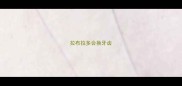 拉布拉多会换牙齿