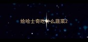 给哈士奇吃什么蔬菜