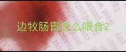 边牧肠胃怎么喂食