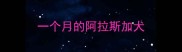 一个月的阿拉斯加犬