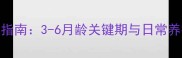 格力犬幼犬耳朵护理全指南3-6月龄关键期与日常养护技巧附超全图解