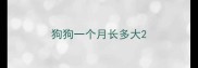 狗狗一个月长多大