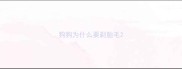 狗狗为什么要剃胎毛