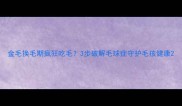 金毛换毛期疯狂吃毛3步破解毛球症守护毛孩健康