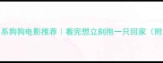10部治愈系狗狗电影推荐看完想立刻抱一只回家附观影清单