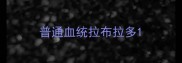 普通血统拉布拉多