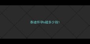 泰迪怀孕b超多少钱