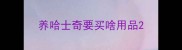 养哈士奇要买啥用品