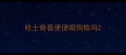 哈士奇看便便喂狗粮吗