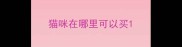 猫咪在哪里可以买