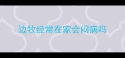 边牧经常在家会闷病吗