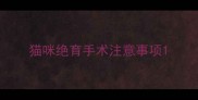 猫咪绝育手术注意事项