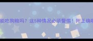 泰迪犬只能吃狗粮吗这5种情况必须警惕附正确喂养指南