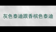 灰色泰迪跟香槟色泰迪