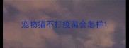 宠物猫不打疫苗会怎样