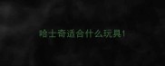 哈士奇适合什么玩具