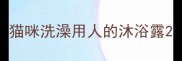 猫咪洗澡用人的沐浴露