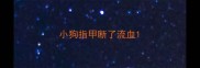 小狗指甲断了流血