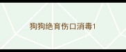 狗狗绝育伤口消毒