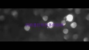 妈妈是拉布拉多的杂种
