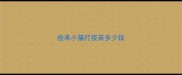 捡来小猫打疫苗多少钱