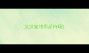 武汉宠物用品市场