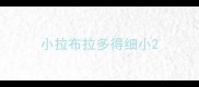 小拉布拉多得细小