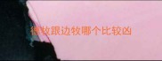 德牧跟边牧哪个比较凶