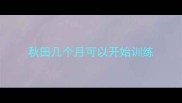 秋田几个月可以开始训练