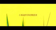 小泰迪怀孕初期症状