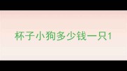 杯子小狗多少钱一只