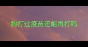 狗打过疫苗还能再打吗