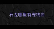 石龙哪里有宠物店