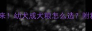 狗狗换粮别乱来幼犬成犬粮怎么选附科学喂养指南