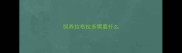 饲养拉布拉多需要什么