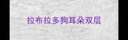 拉布拉多狗耳朵双层