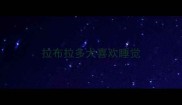 拉布拉多犬喜欢睡觉