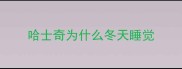 哈士奇为什么冬天睡觉